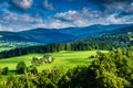 View of Mountain meadows and Forest at Sunset Royalty Free Stock Photo