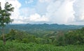 The view of the mountain at norther of Thailand