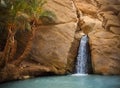 View of mountain oasis Chebika, Sahara desert, Tunisia, Africa Royalty Free Stock Photo