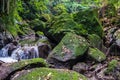 View on a mountain river in Sacred Monkey forest in Ubud Royalty Free Stock Photo