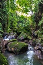 View on a mountain river in Sacred Monkey forest in Ubud Royalty Free Stock Photo