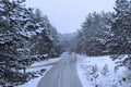 A view on a mountain road on a snowy day.