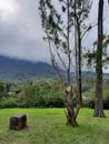 view of the mountain starting to cover the clouds