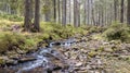 A view of a mountain stream that flows down a slope of stones Royalty Free Stock Photo
