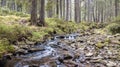 A view of a mountain stream that flows down a slope of stones Royalty Free Stock Photo