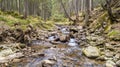 A view of a mountain stream that flows down a slope of stones Royalty Free Stock Photo