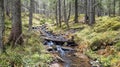 A view of a mountain stream that flows down a slope of stones Royalty Free Stock Photo