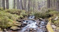 A view of a mountain stream that flows down a slope of stones Royalty Free Stock Photo