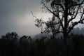 View of from mountain at sunset with forest