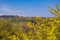 View from the mountain Swantiberg to the lighthouse Dornbusch on the island Hiddensee, Germany Royalty Free Stock Photo