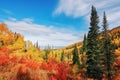 View of the mountain taiga in the autumn forest among colorful trees in the mountains in bright sunny weather in Kolyvan Royalty Free Stock Photo