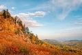 View of the mountain taiga in the autumn forest among colorful trees in the mountains in bright sunny weather in Kolyvan Royalty Free Stock Photo