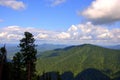 View of mountain taiga from the top of the hill through a pine forest Royalty Free Stock Photo