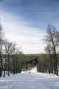 View from the mountain to the winter forest on a Sunny day with snowboarders