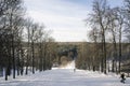 View from the mountain to the winter forest on a Sunny day with snowboarders Royalty Free Stock Photo