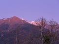 View of the mountain tops of the forest of bare trees and blue sky Royalty Free Stock Photo