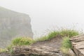 view of a mountain trail during a very misty and cloudy summer day high up in the Swiss alps. Bachsee lake trail in Grindelwald. Royalty Free Stock Photo