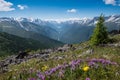 View of mountain valley in the Altai mountains in the distance is the lake kucherlinskoe Royalty Free Stock Photo