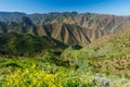 Tropical landscape of La Gomera island Royalty Free Stock Photo