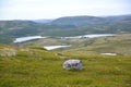 View of the mountain valley in the tundra of the Kola Peninsula