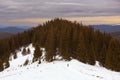 View of a mountainous area overgrown with spruce forest in the last rays of sunset in winter.