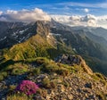 View on mountainous landscape on beautiful spring day with vivid pink flowers among rocks and fresh green grass covering hills Royalty Free Stock Photo