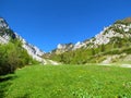 View of mountains above Zelenica in Karawanks mountains, Gorenjska, Slovenia and meadow with dandelion flowers