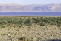 View of the mountains across the waters of the Dead Sea. Plantation of date palms. Israel