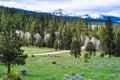 Dixie National Forest Utah Royalty Free Stock Photo