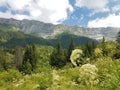 View at the mountains in France Royalty Free Stock Photo