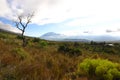 A view of mountains with fynbos in the foreground. Royalty Free Stock Photo