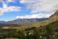 A view of mountains with fynbos in the foreground. Royalty Free Stock Photo