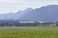 view of mountains jungle and field