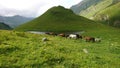 View of the mountains with lake and a herd of horses Royalty Free Stock Photo