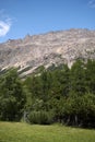 View of the mountains from Morteratsch Glacier trail Royalty Free Stock Photo