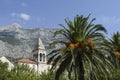 View of the mountains, palm trees and the old house