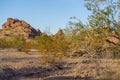 View Of The Mountains At Papago Park In Phoenix, Arizona Royalty Free Stock Photo