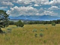 New Mexico`s Santa Fe National Forest Royalty Free Stock Photo