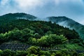 View of mountains in Saraguri town on a raining day near Nanzoin temple in Sasaguri, Fukuoka Prefecture