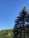 View in the mountains on the sky and mountains covered with forest