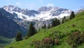 spring in the Swiss Alps Royalty Free Stock Photo