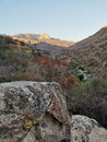 View at the mountins around Sequoia Natural Park, California, USA Royalty Free Stock Photo