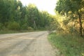 View from the moving car on the forest and countryside road at summer day. Royalty Free Stock Photo