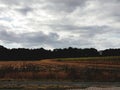 View on a mowed field and a tree area and with a cloudy sky above Royalty Free Stock Photo