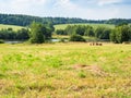 View of mowed meadow near river on sunny day Royalty Free Stock Photo