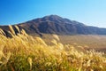 View of Mt. Eboshi-dake with silver grass at Autumn in Aso Royalty Free Stock Photo