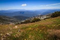 View from Mt Feathertop