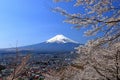 View of Mt. Fuji with cherry blossom (sakura ) in spring from Arakurayama Sengen Park Royalty Free Stock Photo