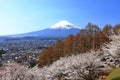 View of Mt. Fuji with cherry blossom (sakura ) in spring from Arakurayama Sengen Park Royalty Free Stock Photo