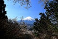 View of Mt. Fuji with cherry blossom (sakura ) in spring from Arakurayama Sengen Park Royalty Free Stock Photo